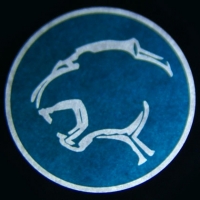 Беспроводная подсветка дверей с логотипом Jaguar